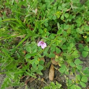 Meet your Posher, Karli